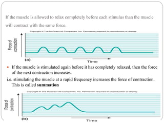 If the muscle is allowed to relax completely before each stimulus than the muscle 
will contract with the same force. 
 If the muscle is stimulated again before it has completely relaxed, then the force 
of the next contraction increases. 
i.e. stimulating the muscle at a rapid frequency increases the force of contraction. 
This is called summation 
 