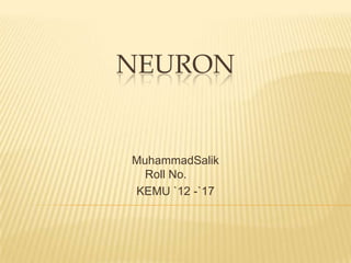 NEURON
MuhammadSalik
Roll No.
KEMU `12 -`17
 