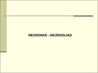 NEURONAS - NEUROGLIAS
 