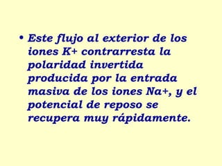 • Este flujo al exterior de los
  iones K+ contrarresta la
  polaridad invertida
  producida por la entrada
  masiva de los iones Na+, y el
  potencial de reposo se
  recupera muy rápidamente.
 