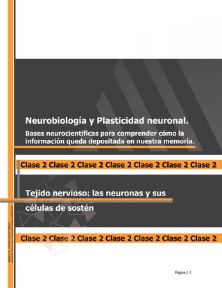 Página | 1
RegistrosN°:2783295-2783297-2286167
AsociaciónEducarparaelDesarrolloHumano(000815/03)
RegistrosN°:2783295-2783297-2286167
AsociaciónEducarparaelDesarrolloHumano(000815/03)
Neurobiología y Plasticidad neuronal.
Bases neurocientíficas para comprender cómo la
información queda depositada en nuestra memoria.
Clase 2 Clase 2 Clase 2 Clase 2 Clase 2 Clase 2 Clase 2
Tejido nervioso: las neuronas y sus
células de sostén
Clase 2 Clase 2 Clase 2 Clase 2 Clase 2 Clase 2 Clase 2
 