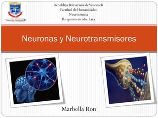 Neuronas y Neurotransmisores
Republica Bolivariana deVenezuela
Facultad de Humanidades
Neurociencia
Barquisimeto edo. Lara
Marbella Ron
 