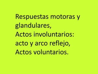 Respuestas motoras y
glandulares,
Actos involuntarios:
acto y arco reflejo,
Actos voluntarios.
 