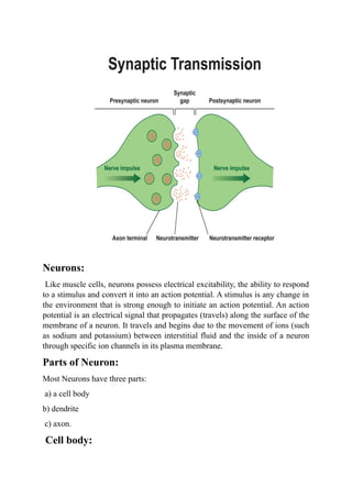 Comprehensive Overview of the Human Nervous System and Its Functions | DOCX