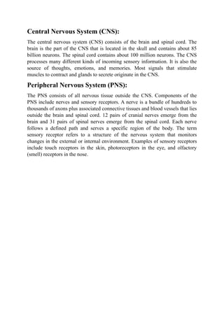 Comprehensive Overview of the Human Nervous System and Its Functions | DOCX