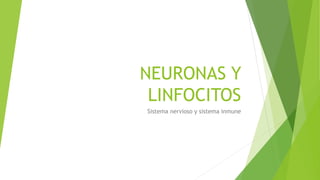 NEURONAS Y
LINFOCITOS
Sistema nervioso y sistema inmune
 