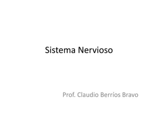 Sistema Nervioso
Prof. Claudio Berríos Bravo
 