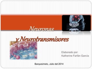 Elaborado por:
Katherine Farfán García
Neuronas
y Neurotransmisores
Barquisimeto, Julio del 2014
 
