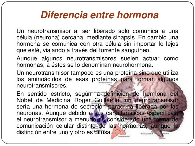Neuronas y neurotransmisores por Katherine Farfan
