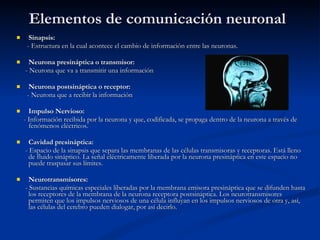 Elementos de comunicación neuronal Sinapsis: - Estructura en la cual acontece el cambio de información entre las neuronas. Neurona presináptica o transmisor: - Neurona que va a transmitir una información Neurona postsináptica o receptor: - Neurona que a recibir la información Impulso Nervioso: - Información recibida por la neurona y que, codificada, se propaga dentro de la neurona a través de fenómenos eléctricos.  Cavidad presináptica: - Espacio de la sinapsis que separa las membranas de las células transmisoras y receptoras. Está lleno de fluido sináptico. La señal eléctricamente liberada por la neurona presináptica en este espacio no puede traspasar sus límites. Neurotransmisores: - Sustancias químicas especiales liberadas por la membrana emisora presináptica que se difunden hasta los receptores de la membrana de la neurona receptora postsináptica. Los neurotransmisores permiten que los impulsos nerviosos de una célula influyan en los impulsos nerviosos de otra y, así, las células del cerebro pueden dialogar, por así decirlo. 
