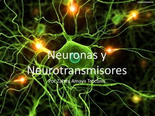 Neuronas y
Neurotransmisores
Por Zabdy Amaya Troconis
 