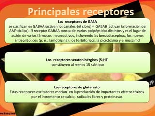Los receptores de GABA
se clasifican en GABAA (activan los canales del cloro) y GABAB (activan la formación del
AMP cíclico). El receptor GABAA consta de varios polipéptidos distintos y es el lugar de
acción de varios fármacos neuroactivos, incluyendo las benzodiacepinas, los nuevos
antiepilépticos (p. ej., lamotrigina), los barbitúricos, la picrotoxina y el muscimol
Los receptores serotoninérgicos (5-HT)
constituyen al menos 15 subtipos
Los receptores de glutamato
Estos receptores excitadores median en la producción de importantes efectos tóxicos
por el incremento de calcio, radicales libres y proteinasas
 