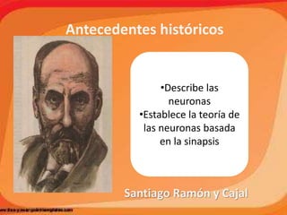 Antecedentes históricos
•Describe las
neuronas
•Establece la teoría de
las neuronas basada
en la sinapsis
Santiago Ramón y Cajal
 