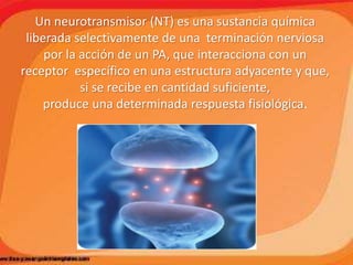 Un neurotransmisor (NT) es una sustancia química
liberada selectivamente de una terminación nerviosa
por la acción de un PA, que interacciona con un
receptor específico en una estructura adyacente y que,
si se recibe en cantidad suficiente,
produce una determinada respuesta fisiológica.
 