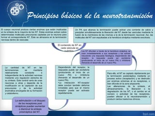 Principios básicos de la neurotransmisión
El cuerpo neuronal produce ciertas enzimas que están implicadas
en la síntesis de la mayoría de los NT. Estas enzimas actúan sobre
determinadas moléculas precursoras captadas por la neurona para
formar el correspondiente NT. Éste se almacena en la terminación
nerviosa dentro de vesículas
Un PA que alcanza la terminación puede activar una corriente de calcio y
precipitar simultáneamente la liberación del NT desde las vesículas mediante la
fusión de la membrana de las mismas a la de la terminación neuronal. Así, las
moléculas del NT son expulsadas a la hendidura sináptica mediante exocitosis.
El contenido de NT en
cada vesícula es
cuántico.
La cantidad de NT en las
terminaciones se mantiene
relativamente constante e
independiente de la actividad nerviosa
mediante una regulación estrecha de
su síntesis. Este control varía de unas
neuronas a otras y depende de la
modificación en la captación de sus
precursores y de la actividad
enzimática encargada de su formación
y catabolismo.
Dependiendo del receptor, la
respuesta puede ser excitatoria
(produciendo el inicio de un
nuevo PA) o inhibitoria
(frenando el desarrollo de un
nuevo PA).
•La interacción NT-receptor
debe concluir también deforma
inmediata para que el mismo
receptor pueda ser activado
repetidamente.
Para ello, el NT es captado rápidamente por
la terminación postsináptica mediante un
proceso activo (recaptación) y es destruido
por enzimas próximas al os receptores, o
bien difunde en la zona adyacente.
Las alteraciones de la síntesis, el
almacenamiento, la liberación o la
degradación de los NT, o el cambio en el
número o actividad de los receptores,
pueden afectar a la neurotransmisión y
producir ciertos trastornos clínicos.
La estimulación o el bloqueo
de los receptores post
sinápticos pueden aumentar
o disminuir la síntesis
presináptica del NT.
Los NT difunden a través de la hendidura sináptica, se
unen inmediatamente a sus receptores y los activan
induciendo una respuesta fisiológica. Dependiendo del
receptor, la respuesta puede ser excitatoria
(produciendo el inicio de un nuevo PA) o inhibitoria
(frenando el desarrollo de un nuevo PA).
 