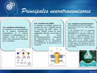Los receptores adrenérgicos
se clasifican en a1 (postsinápticos
en el sistema simpático),A2
(presinápticos en el sistema
simpático y postsinápticos en el
cerebro), b1(en el corazón) y
b2(en otras estructuras inervadas
por el simpático).
Los receptores de GABA
se clasifican en GABAA (activan los
canales del cloro) y GABAB (activan
la formación del AMP cíclico). El
receptor GABAA consta de varios
polipéptidos distintos y es el lugar de
acción de varios
fármacosneuroactivos, incluyendo
las benzodiacepinas, los nuevos
antiepilépticos (p. ej., lamotrigina),
los barbitúricos, la picrotoxina y el
muscimol
Los receptores serotoninérgicos
(5-HT)constituyen al menos 15 subtipos,
clasificados en 5-HT1(con cuatro subtipos),
5-HT2 y 5-HT
3. Los receptores 5-HT 1A, localizados
presinápticamente en el núcleo del
rafe(inhibiendo la recaptación presináptica
de 5-HT) y postsinápticamente en el
hipocampo, modulan la adenilato-ciclasa.
Los receptores 5-HT2, localizados en la
cuarta capa de la corteza cerebral,
intervienen en la hidrólisis del fosfoinosítido
(v. tabla 166-2). Los receptores 5-HT3 se
localizan presinápticamente en el núcleo del
tracto solitario.
Principales neurotransmisores
 