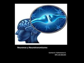 Neuronas y Neurotransmisores
Carmen A. Colmenares G.
HPS-143-00110V
 