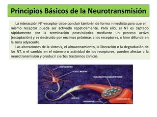 La interacción NT-receptor debe concluir también de forma inmediata para que el
mismo receptor pueda ser activado repetidamente. Para ello, el NT es captado
rápidamente por la terminación postsináptica mediante un proceso activo
(recaptación) y es destruido por enzimas próximas a los receptores, o bien difunde en
la zona adyacente.
Las alteraciones de la síntesis, el almacenamiento, la liberación o la degradación de
los NT, o el cambio en el número o actividad de los receptores, pueden afectar a la
neurotransmisión y producir ciertos trastornos clínicos.
Principios Básicos de la Neurotransmisión
 