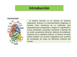 El sistema nervioso es un sistema en extremo
importante. Gracias a su funcionamiento integrado, el
hombre tiene conciencia de su ambiente; esta
capacitado para comprender y asignar un significado a
lo que contempla y aprender, manipular y abstraer de
un modo sumamente eficiente. Además de establecer
contacto con el ambiente externo, el sistema nervioso
realiza también una función integradora que coordina
las actividades de todos los diferentes sistemas del
cuerpo.
Introducción
 