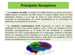 Los receptores de GABA se clasifican en GABAA (activan los canales del cloro) y
GABAB (activan la formación del AMP cíclico). El receptor GABAA consta de varios
polipéptidos distintos y es el lugar de acción de varios fármacos neuroactivos,
incluyendo las benzodiacepinas, los nuevos antiepilépticos (p. ej., lamotrigina), los
barbitúricos, la picrotoxina y el muscimol.
Los receptores serotoninérgicos (5-HT) constituyen al menos 15 subtipos,
clasificados en 5-HT1 (con cuatro subtipos), 5-HT2 y 5-HT3. Los receptores 5-HT1A,
localizados presinápticamente en el núcleo del rafe (inhibiendo la recaptación
presináptica de 5-HT) y postsinápticamente en el hipocampo, modulan la adenilato-
ciclasa. Los receptores 5-HT2, localizados en la cuarta capa de la corteza cerebral,
intervienen en la hidrólisis del fosfoinosítido (v. tabla 166-2). Los receptores 5-HT3 se
localizan presinápticamente en el núcleo del tracto solitario.
Principales Receptores
 