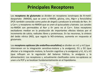 Los receptores de glutamato se dividen en receptores ionotropos de N-metil-
daspartato (NMDA), que se unen a NMDA, glicina, cinc, Mg++ y fenciclidina
(PCP, también conocido como polvo de ángel) y producen la entrada de Na+, K+
y Ca++; y receptores no-NMDA que se unen al quiscualato y kainato. Los canales
no-NMDA son permeables al Na+ y K+ pero no al Ca++. Estos receptores
excitadores median en la producción de importantes efectos tóxicos por el
incremento de calcio, radicales libres y proteinasas. En las neuronas, la síntesis
del óxido nítrico (NO), que regula la NO-sintetasa, aumenta en respuesta al
glutamato.
Los receptores opiáceos (de endorfina-encefalina) se dividen en m1 y m2 (que
intervienen en la integración sensitivo-motora y la analgesia), D1 y D2 (que
afectan a la integración motora, la función cognitiva y la analgesia) y k1, k2 y k3
(que influyen en la regulación del balance hídrico, la analgesia y la
alimentación). Los receptores s, actualmente clasificados como no-opiáceos se
unen a la PCP y se localizan fundamentalmente en el hipotálamo.
Principales Receptores
 