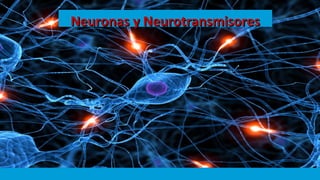 Neuronas y NeurotransmisoresNeuronas y Neurotransmisores
 