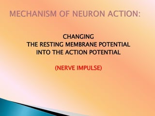 CHANGING
THE RESTING MEMBRANE POTENTIAL
INTO THE ACTION POTENTIAL
(NERVE IMPULSE)
 