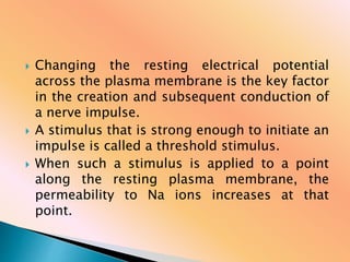  Changing the resting electrical potential
across the plasma membrane is the key factor
in the creation and subsequent conduction of
a nerve impulse.
 A stimulus that is strong enough to initiate an
impulse is called a threshold stimulus.
 When such a stimulus is applied to a point
along the resting plasma membrane, the
permeability to Na ions increases at that
point.
 