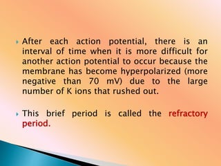  After each action potential, there is an
interval of time when it is more difficult for
another action potential to occur because the
membrane has become hyperpolarized (more
negative than 70 mV) due to the large
number of K ions that rushed out.
 This brief period is called the refractory
period.
 
