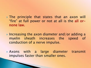  The principle that states that an axon will
“fire” at full power or not at all is the all or-
none law.
 Increasing the axon diameter and/or adding a
myelin sheath increases the speed of
conduction of a nerve impulse.
 Axons with a large diameter transmit
impulses faster than smaller ones.
 