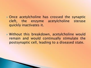  Once acetylcholine has crossed the synaptic
cleft, the enzyme acetylcholine sterase
quickly inactivates it.
 Without this breakdown, acetylcholine would
remain and would continually stimulate the
postsynaptic cell, leading to a diseased state.
 