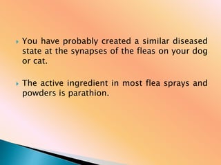  You have probably created a similar diseased
state at the synapses of the fleas on your dog
or cat.
 The active ingredient in most flea sprays and
powders is parathion.
 