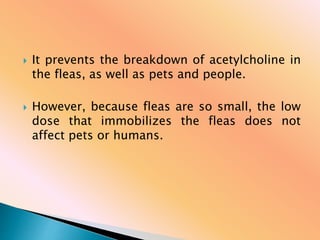  It prevents the breakdown of acetylcholine in
the fleas, as well as pets and people.
 However, because fleas are so small, the low
dose that immobilizes the fleas does not
affect pets or humans.
 