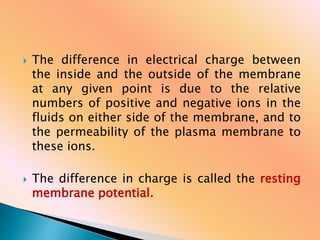  The difference in electrical charge between
the inside and the outside of the membrane
at any given point is due to the relative
numbers of positive and negative ions in the
fluids on either side of the membrane, and to
the permeability of the plasma membrane to
these ions.
 The difference in charge is called the resting
membrane potential.
 