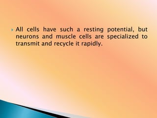  All cells have such a resting potential, but
neurons and muscle cells are specialized to
transmit and recycle it rapidly.
 