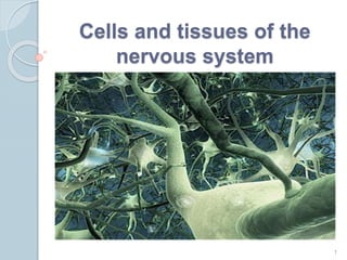 Cells and tissues of the
nervous system
1
 