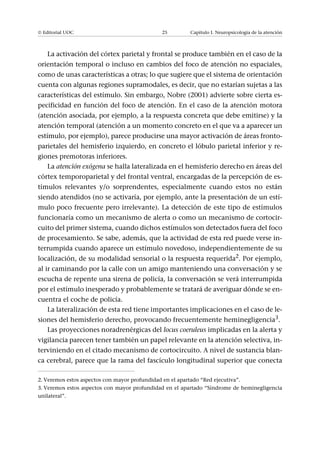 [Neuro] Neuropsicologia - Merce Jodar Vicente.pdf
