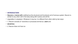 Neuron_function_structure_TYPES_LOCATION | PPTX