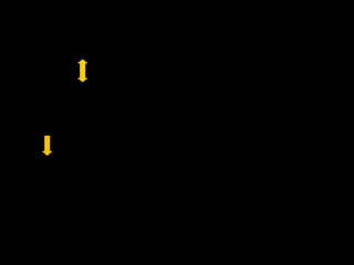 16
 IPOTESI: vi è una correlazione tra:
 SISTEMA NEURONALE (M.N)
 INTERSOGGETTIVITA’
 L’INTERSOGGETTIVITA’ è caratterizzata principalmente
da:
LA SINCRONIA che emerge in una relazione tra due
persone.
 La sincronia si basa sulla COMPRENSIONE DELLE
AZIONI DEGLI ALTRI.
 