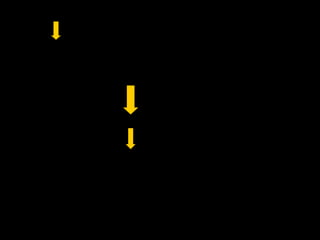 37
 LA PROPRIETA’ DEI M.N NEL IPL E’:
FACILITARE LA FLUIDITA’ DI UN’AZIONE
 Singole azioni motorie dipendono da altre quanto queste partecipano
alla meta finale di un’azione specifica
si formeranno così:
PRE-LEGATE CATENE INTENZIONALI
ogni successiva azione motoria è facilitata
dall’azione eseguita precedentemente
 Da notare infatti che: l’attivazione dei neuroni è presente prima che le
scimmie osservino lo sperimentatore cominciare l’esecuzione del
secondo atto motorio
 