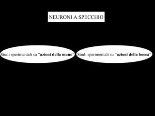 53
NEURONI A SPECCHIONEURONI A SPECCHIO
Studi sperimentali su “azioni della mano” Studi sperimentali su “azioni della bocca”
Tutti gli esperimenti sono stati effettuati con scimmie (Macaca
Nemestrina) evidenziando le aree cerebrali contenenti “neuroni a
specchio” e rintracciando le regioni ad esse corrispondenti nel
cervello umano.
 