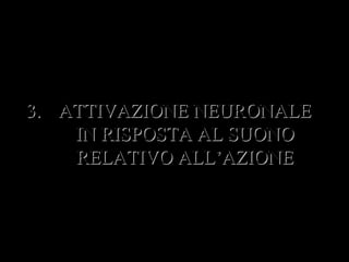 3.3. ATTIVAZIONE NEURONALEATTIVAZIONE NEURONALE
IN RISPOSTA AL SUONOIN RISPOSTA AL SUONO
RELATIVO ALL’AZIONERELATIVO ALL’AZIONE
 