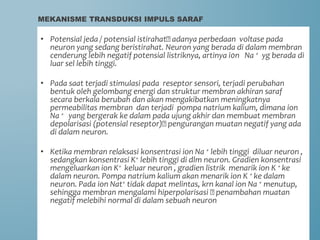 • Potensial jeda / potensial istirahat🡪 adanya perbedaan voltase pada
neuron yang sedang beristirahat. Neuron yang berada di dalam membran
cenderung lebih negatif potensial listriknya, artinya i0n Na + yg berada di
luar sel lebih tinggi.
• Pada saat terjadi stimulasi pada reseptor sensori, terjadi perubahan
bentuk oleh gelombang energi dan struktur membran akhiran saraf
secara berkala berubah dan akan mengakibatkan meningkatnya
permeabilitas membran dan terjadi pompa natrium kalium, dimana ion
Na + yang bergerak ke dalam pada ujung akhir dan membuat membran
depolarisasi (potensial reseptor)🡪 pengurangan muatan negatif yang ada
di dalam neuron.
• Ketika membran relaksasi konsentrasi ion Na + lebih tinggi diluar neuron ,
sedangkan konsentrasi K+ lebih tinggi di dlm neuron. Gradien konsentrasi
mengeluarkan ion K+ keluar neuron , gradien listrik menarik ion K + ke
dalam neuron. Pompa natrium kalium akan menarik ion K + ke dalam
neuron. Pada ion Nat+ tidak dapat melintas, krn kanal ion Na + menutup,
sehingga membran mengalami hiperpolarisasi 🡪 penambahan muatan
negatif melebihi normal di dalam sebuah neuron
MEKANISME TRANSDUKSI IMPULS SARAF
 