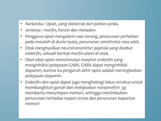 • Narkotika : Opiat, yang diekstrak dari pohon candu.
• Jenisnya : morfin, heroin dan metadon.
• Pengguna opiat mengalami rasa tenang, penurunan perhatian
pada masalah di dunia nyata, penurunan sensitivitas rasa sakit.
• Otak menghasilkan neurotransmitter peptida yang disebut
endorfin, sebuah bentuk morfin alami di otak.
• Obat-obat opiat menstimulasi reseptor endorfin yang
menginhibisi pelepasan GABA. GABA dapat menginhibisi
dopamin, karena itu pengaruh akhir opiat adalah meningkatkan
pelepasan dopamin.
• Endorfin dan opiat dapat juga menghalangi lokus seruleus untuk
membangkitan gairah dan melepaskan norepinefrin yg
membantu menyimpan memori, sehingga menimbulkan
penurunan terhadap respon stress dan penurunan kapasitas
memori
 