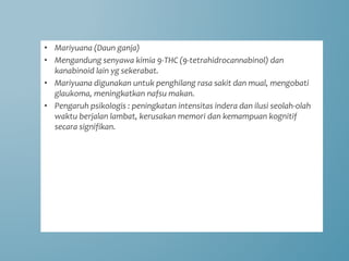 • Mariyuana (Daun ganja)
• Mengandung senyawa kimia 9-THC (9-tetrahidrocannabinol) dan
kanabinoid lain yg sekerabat.
• Mariyuana digunakan untuk penghilang rasa sakit dan mual, mengobati
glaukoma, meningkatkan nafsu makan.
• Pengaruh psikologis : peningkatan intensitas indera dan ilusi seolah-olah
waktu berjalan lambat, kerusakan memori dan kemampuan kognitif
secara signifikan.
 