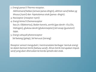 2. Energi panas 🡪 Thermo receptor.
Akhiransaraf bebas (sensasi panas-dingin), akhiran saraf bebas yg
khusus (nyeri) dan hipotalamus otak (panas- dingin).
3. Nociceptor (reseptor nyeri)
4. Energi kimia 🡪 Chemoreceptor
bau (n. Olfaktorius), Badan karotis, aortik (gas darah : O2,CO2,
Hidrogen), glukosa darah (glukoreseptor),Sel cecap (gustatori)
lidah.
5. Energi cahaya🡪 photoreceptor
Sel batang (gelap), Sel kerucut (terang)
Reseptor sensori mengubah / mentransduksi berbagai bentuk energi
ke dalam bentuk listrik (bahasa saraf). Aliran listrik merupakan impuls
saraf yang akan diteruskan ke korda spinalis dan otak.
 