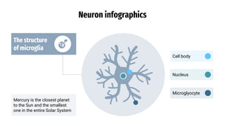 Neuron infographics
The structure
of microglia
Mercury is the closest planet
to the Sun and the smallest
one in the entire Solar System
Cell body
Nucleus
Microglyocyte
 
