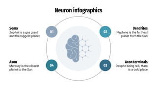 Neuron infographics
Soma
Jupiter is a gas giant
and the biggest planet
01
Axon
Mercury is the closest
planet to the Sun
04
Dendrites
Neptune is the farthest
planet from the Sun
02
Axon terminals
Despite being red, Mars
is a cold place
03
 