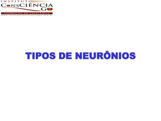 TIPOS DE NEURÔNIOS
 