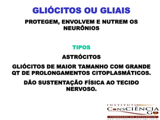GLIÓCITOS OU GLIAIS
   PROTEGEM, ENVOLVEM E NUTREM OS
             NEURÔNIOS


                TIPOS
             ASTRÓCITOS
GLIÓCITOS DE MAIOR TAMANHO COM GRANDE
QT DE PROLONGAMENTOS CITOPLASMÁTICOS.
   DÃO SUSTENTAÇÃO FÍSICA AO TECIDO
              NERVOSO.
 
